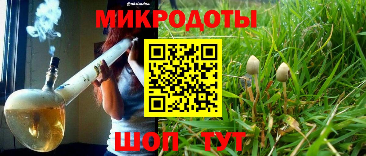где можно купить   Вход с VPN  Димитровград  Галлюциногенные грибы Magic Shrooms  Галлюциногенные грибы Psilocybine cubensis 
