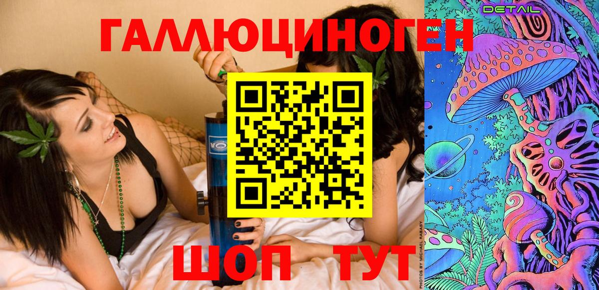 Галлюциногенные грибы Psilocybe Димитровград